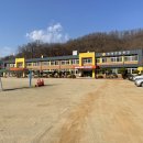 임하초교 이미지