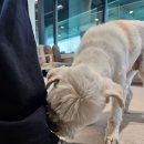 열광노래연습장 | OO 진짜 왜 하는지 모르겠다