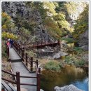 주왕산주유소 이미지