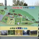 은행나무3길 이미지