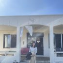 시흥상동로 | 제주 슌식당 성게알냉우동 일식당 성산 시흥 맛집