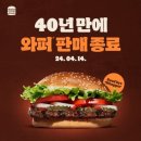 [창원맛집] 버거킹 new와퍼 솔직 후기