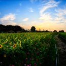 소풍나라 이미지