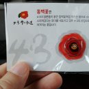동굴에 평화의 동백이 이미지