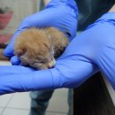 논공중앙로-논공중앙로45길 이미지