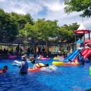 솔밭매점 이미지