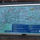 허준약초골 이미지