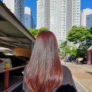 서울미장원 이미지