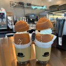 연세P&O의지 이미지