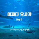 [어쩌다 오사카] 2일 차(+간사이 공항&gt;덴노지역, 덴노지역 오사카매트로패스 수령, 가이유칸, 오사카성...