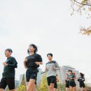 바니스 이미지