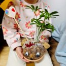 서울공진초등학교병설유치원 | 서울 서초구 공진초등학교 병설유치원 반려식물심기 토피어리만들기 원예수업 오감활동 원예체험