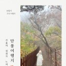 속초 설악산 케이블카 우천 시 단풍 구경 후기, 주차장부터 케이블카 탑승 꿀팁 A~Z까지 (2025.10.26일...