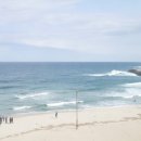 솔게스트하우스 양양서핑점 이미지