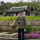 반스 체커보드 컴피쿠시 원 실착후기 사이즈팁