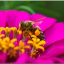 조운농장 이미지