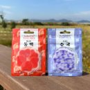 신안화장품 이미지