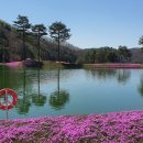 문막오크카운티 이미지