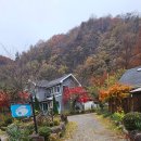 수채화A | 흥잡이 강원도 양양 가성비 사계절 실내온수 돔 수영장 핀란드사우나 초록수채화펜션 내돈내산 후기