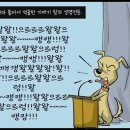 Re: 검찰 떡밥에 길들여진 언론은 랩독 맞음! 이미지