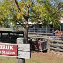 내리농장 이미지