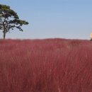 구름산책 이미지