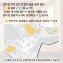 수강재 | 창덕궁 빛바람들이기 창호개방/기간/구역/입장료/포토스팟추천