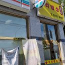 황밀삼 이미지