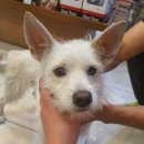 송내지구대 이미지