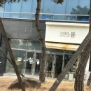 늘봄장여관 네이버블로그