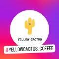 옐로우캑터스yellowcactus