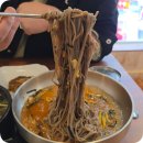 포정 | 남포동 여행 중 발견한 맛집 남포정 막갈세트 솔직 후기