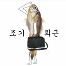 당근약국 - 구미시 신당1로1길 17-3 | 당근약국