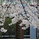 호수언저리 이미지