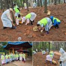 [고려방송] 고려인마을 노인돌봄센터, 산정공원 ‘푸른 숲 가꾸기’ 자원봉사활동 이미지