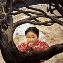 왕서방 - 사천시 선인길 30-21 | 왕서방