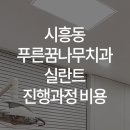푸른꿈나무치과의원 이미지