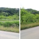 금당산업 이미지