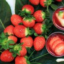 하얏트리젠시제주 이미지