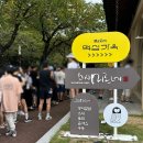 색동커피색동coffee | 경주 가볼만한곳 무료 체험 커피 선물까지 핫한 맥심가옥 팝업스토어 주말 오픈런 후기