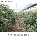 대박4농장 이미지