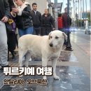 튀르키예 패키지 안탈리아 올드타운 투어 오브룩한 호수, 4일차 후기