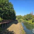 여천천자전거길 이미지