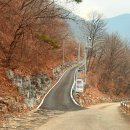 강원도 평창 애견동반 캠핑장 백룡야영장 솔직후기 (3번 사이트) + 주변놀거리
