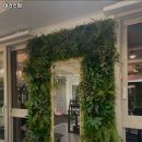 테리스짐 이미지