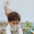 동산어린이집 이미지