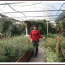 경주농원 이미지