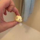 순전히 인형을 사러 도쿄에 다녀온 여자 1~2일차