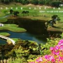 진아건축사사무소 이미지