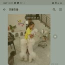 김고은그루밍# 이미지